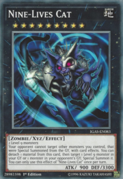 Gatto dalle Nove Vite