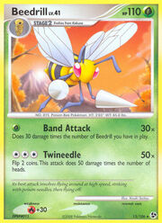 Beedrill Lv.41