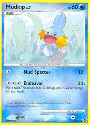 Mudkip Lv.7
