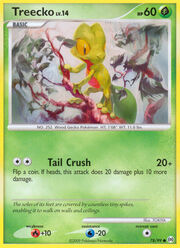 Treecko Lv.14
