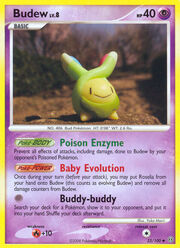 Budew Lv.8
