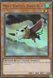 Baby Roc della Valle delle Nebbie