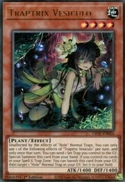 Trappolatrice Vesciculo