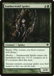 Araña de Somberwald