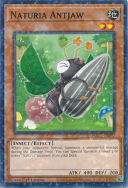 Hormigamandíbula Naturia