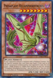 Predaplanta Pterojarra