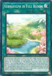 Vernasilfide in Piena Fioritura