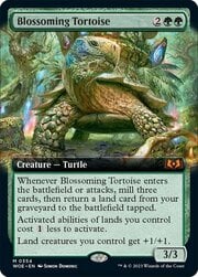 Blossoming Tortoise