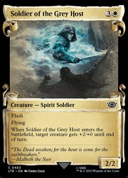 Soldato della Grigia Schiera