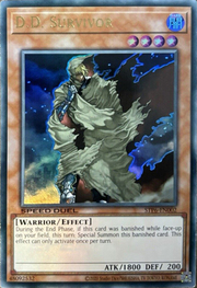 D.D. Survivor