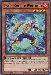 Soldato Allenatore Lupoabbaia