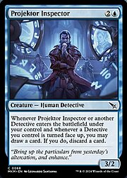 Ispettore del Proiettore