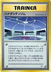 Cerulean City Gym #108