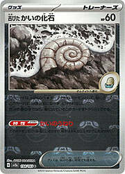 Antique Helix Fossil