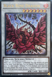 Black Rose Dragon