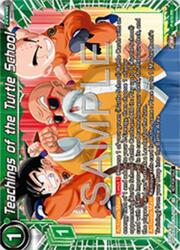 Teachings of the Turtle School