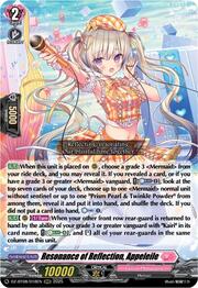 Resonance of Reflection, Appeleile