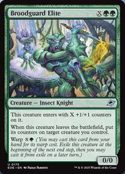 Sorveglianidiata d'Élite