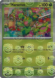 Maractus