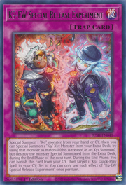 K9-EW Esperimento Rimozione Speciale