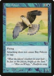Falco della Baia