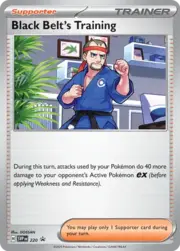 Black Belt's Training