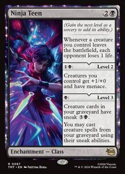 Ninja Teen