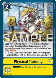 Physical Training