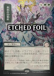 Risvegliare la Selva