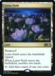 Campo de lotos
