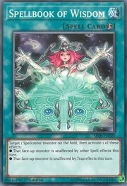 Libro di Magia della Saggezza