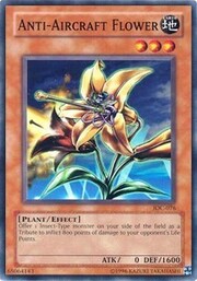 Flor Antiaérea