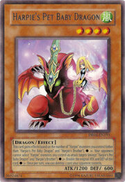 Dragón Bebé, Mascota de la Arpía