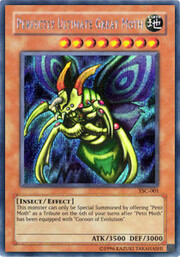 Gran Moth Definitivo Perfecto