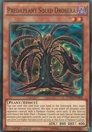 Predaplanta Drosera Calamar