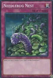 Nido degli Scarafaggi Pungiglione