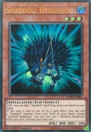 Puercoespín Sombrañeca