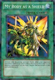 Il mio Corpo come Scudo