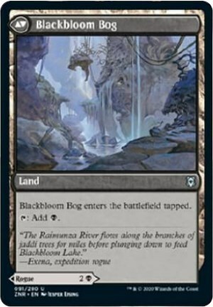 Blackbloom Rogue // Blackbloom Bog Card Back