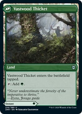 Vastwood Fortification // Vastwood Thicket Card Back