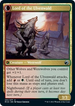 Kessig Naturalist // Lord of the Ulvenwald Parte Posterior