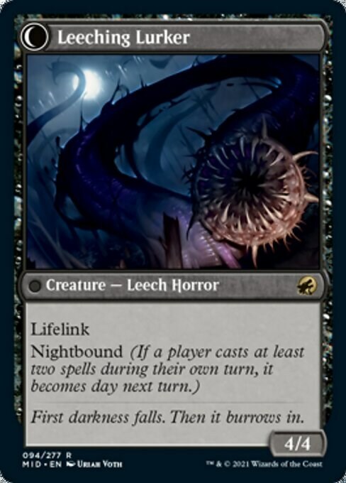 Curse of Leeches // Leeching Lurker Card Back