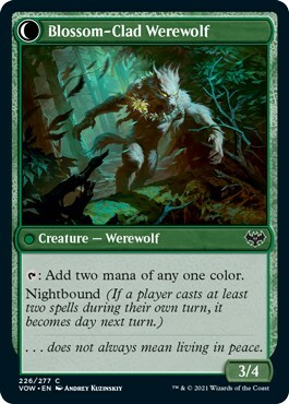 Weaver of Blossoms // Blossom-Clad Werewolf Card Back