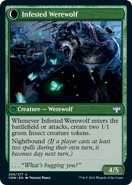 Infestation Expert // Infested Werewolf Card Back