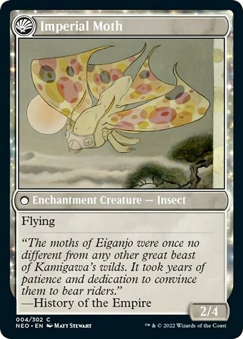 Befriending the Moths // Imperial Moth Card Back
