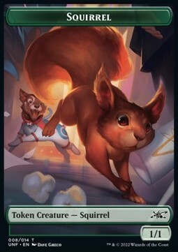 Food // Squirrel Card Back