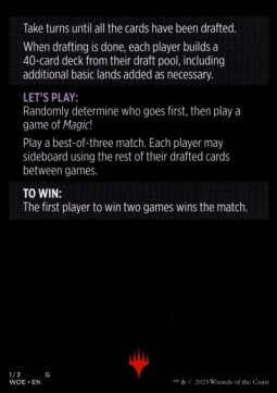 Magic Minigame: Winchester Draft Card Back