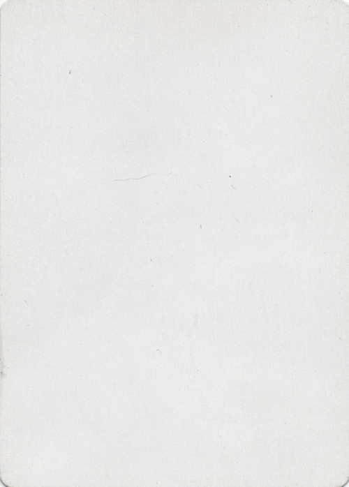 White/White Filler Card Parte Posterior