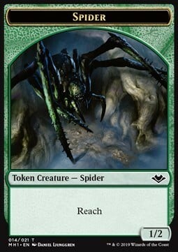 Shapeshifter // Spider Card Back