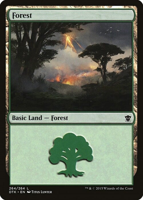 Forest Card Front